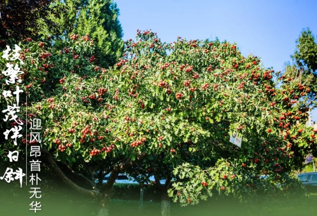光影環(huán)科院-4.jpg