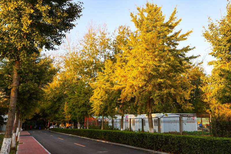 2023年秋季院內道路.jpg